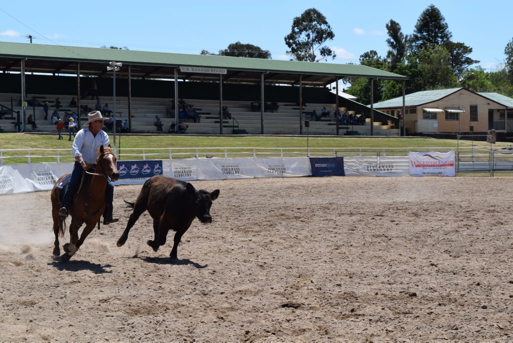 Warwick Rodeo campdrafting guide